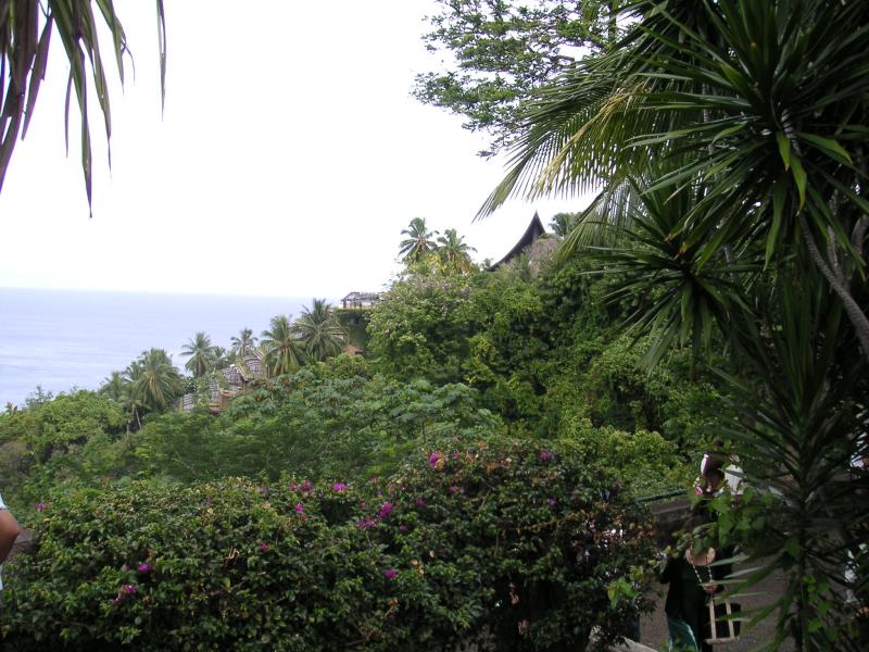 Green hills