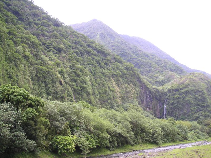 Lush green valley