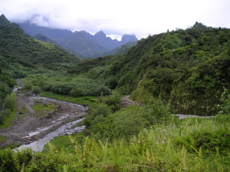 Green valley