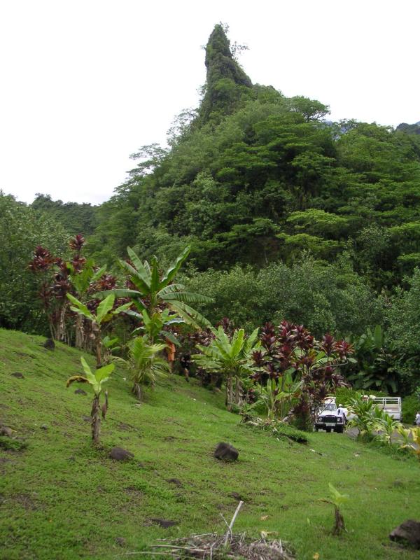 Pointy peak
