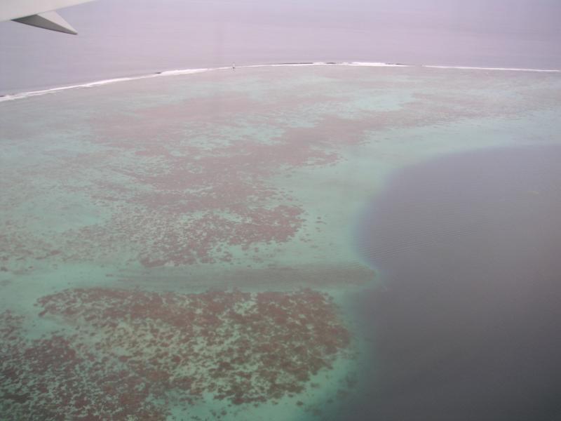 Reef from plane