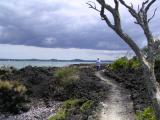 Trail over volcanic rocks