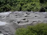 Bubbling mud pools