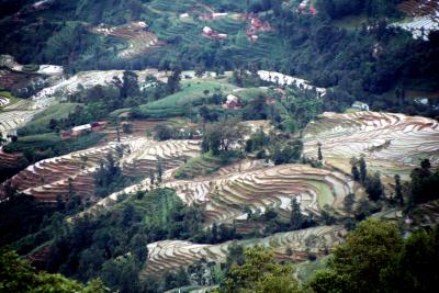 Rice Terraces in the Lower Region of the Langtang National Park