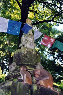 Swayambhunath: The Monket Temple, Kathmandu