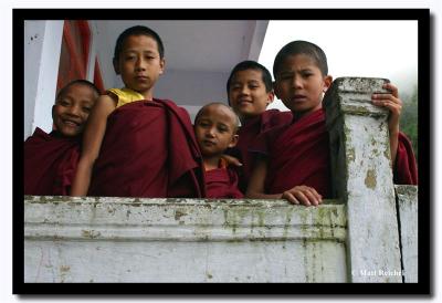 Young Monks at Dali Gompa, Darjeeling