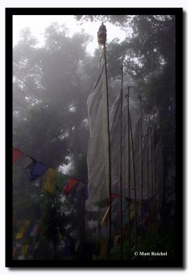 Different Prayer Flags, Gangtok