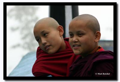 Nuns from the Ani Gompa in Gangtok, Sikkim