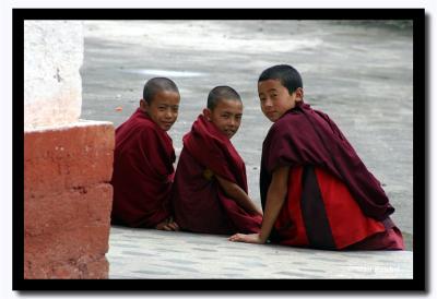 Three Novice Monks, Phu Dong Gompa, Sikkim