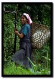 Woman with Basket, North Sikkim