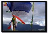 Prayer Flags in the Wind, Kalimpong