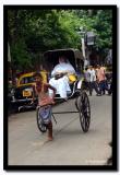Rickshaw Puller, Kolkata