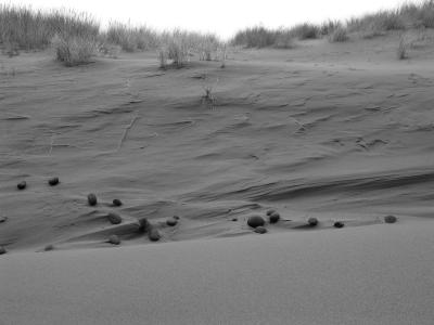 niamh - wrinkled sand*