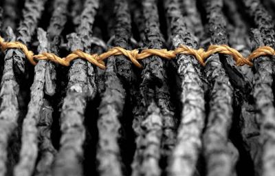 Wooden Wrinkles1* by Claudio Gatti/Matt Davis