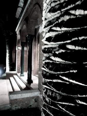*Palm by Bruce Jones