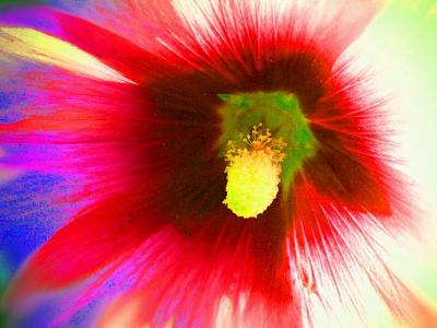 u38/mtf_foto_studies/medium/32052271.040801_explosionofcolors2.jpg