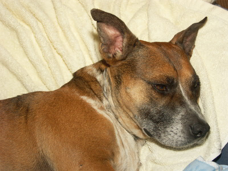 4th: Molly down under wrinkles by John down under