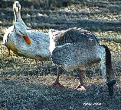 'now what's the hold up? ... GET IN STEP!!!