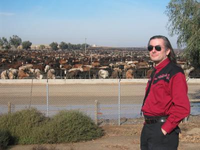 D. at Cow-schwitz....rhymes with Auschwitz.  Lots of cases of sad-cow disease.