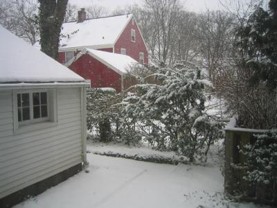 Backyard_snow.jpg