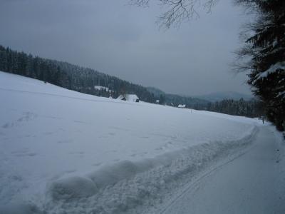 Wanderweg.jpg