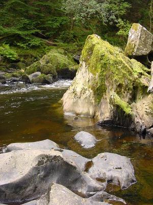 Rocky Mountain Stream