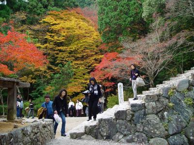 Takao in autumn
