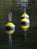 Oh Bouy Oh Bouy Oh Bouy