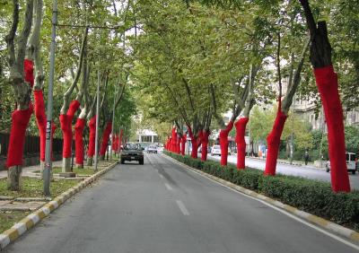 Trees dressed up for a festival in Istanbul