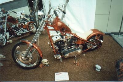Custom Harley 2