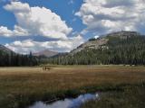 <b><I>10th Place</I></B> <BR>Loney Meadow Tahoe National Forest by:<br><b>Jeff_Aragaki