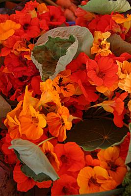 Nasturtiums