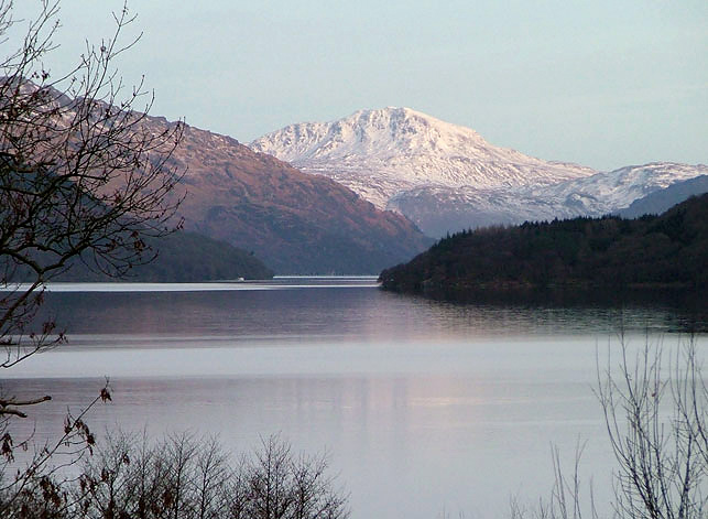 scot2-188br.JPG