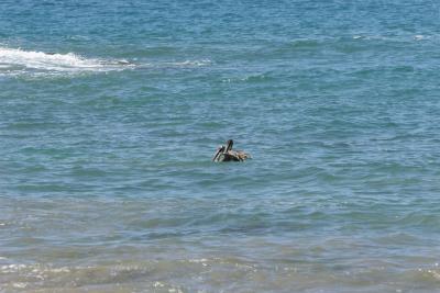 IMG_4319.JPG