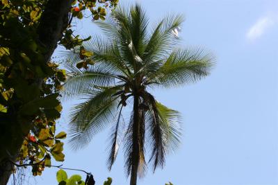 IMG_4375.JPG