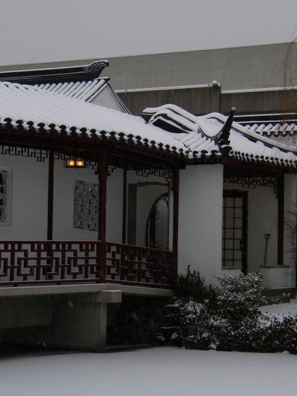 P1060096A.jpg