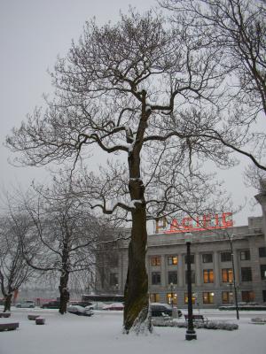 P1060157.jpg