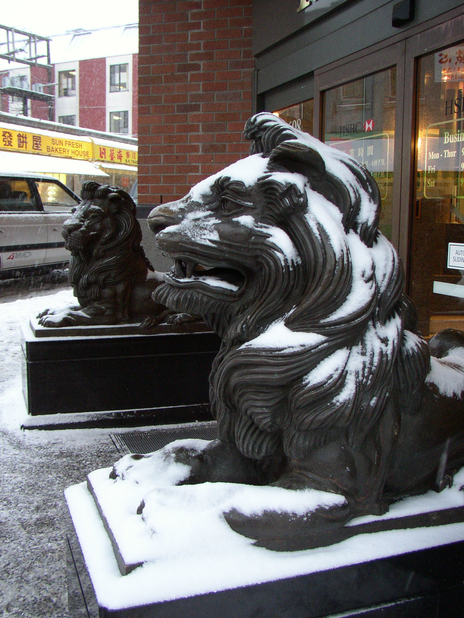P1060154.jpg