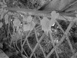 DSC00430.jpg