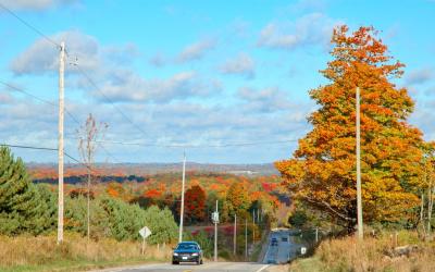 Fall roadway