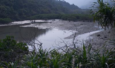 u38/peterchan/medium/24724404.CRW_5792.jpg