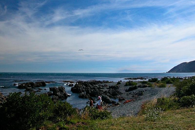 6 Jan 04 - Owhiro Bay - Wellingtons south coast