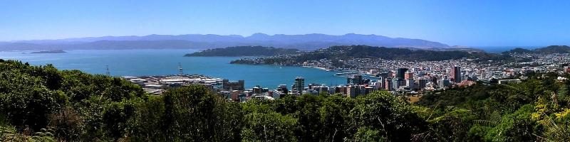 11 Jan 04 - Wellington from Northland