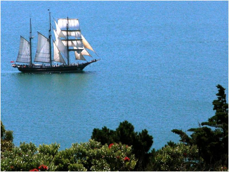 Sailing Ship on Wellington Harbour