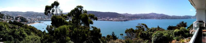 Wellington Harbour view from Roseneath