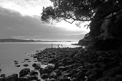 Coopers Beach black and white