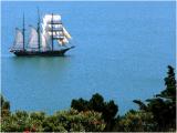 Sailing Ship on Wellington Harbour