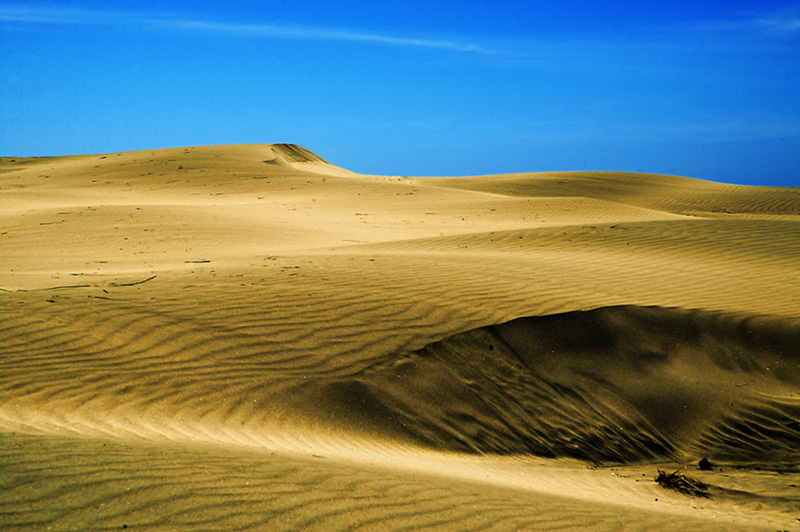 Sand Dunes - Farewell Spit