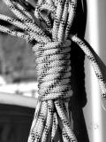 Cordage (2)