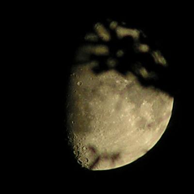 Moon